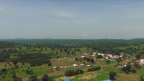 Green naij Video stock 91490734