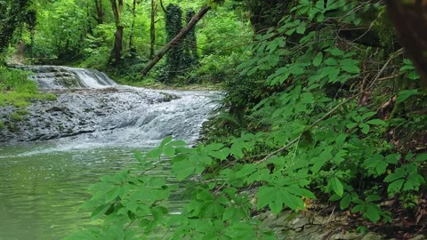 Green natural background Video stock 203945653