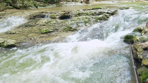 Green natural background. Stock Footage 203945709