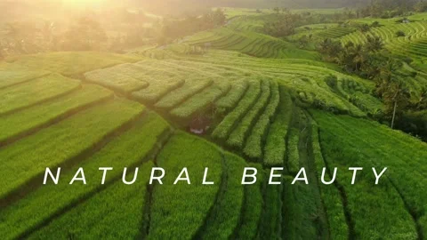 Green Natural Stock Footage 228902803