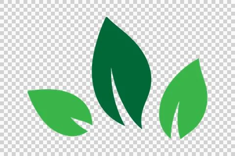 Green natural leaf drawing vector Stock Illustration
