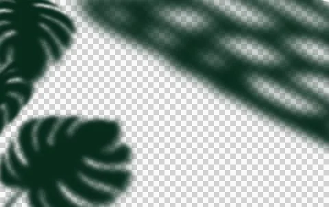 Green natural wall with tree shadow castiing blur light sunlight on floor a.. Stock Illustration