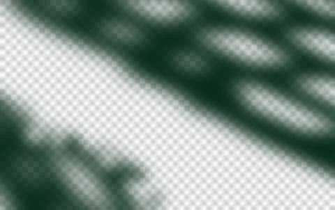 Green natural wall with tree shadow castiing blur light sunlight on floor a.. Stock Illustration