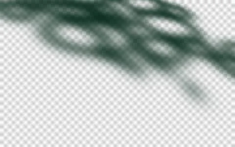 Green natural wall with tree shadow castiing blur light sunlight on floor a.. Stock Illustration