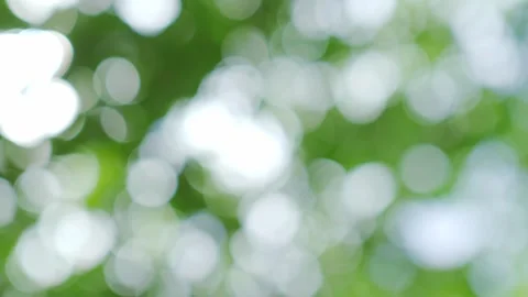 Green nature background, blur bokeh soft sunlight spring forest summer Stock Footage 346270883
