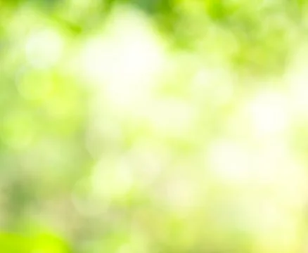 Green nature background bokeh leaf nature summer springtime blur sunlight Stock Photos