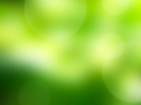 Green nature background bokeh leaf nature summer springtime blur sunlight Stock Photos