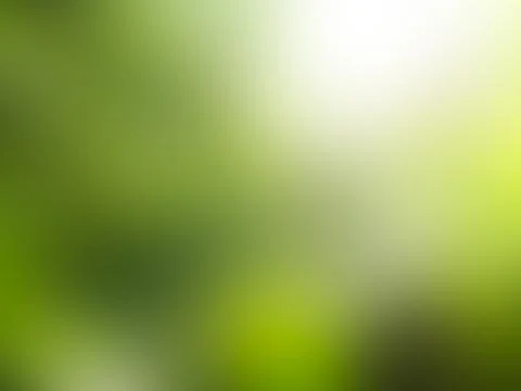 Green nature background bokeh leaf nature summer springtime blur sunlight Stock Photos