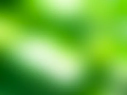 Green nature background bokeh leaf nature summer springtime blur sunlight Stock Photos