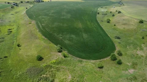 Green nature background.  Environment scene. Video stock 202908957