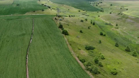 Green nature background.  Environment scene. Agriculture farmind field. Stock Footage 202908968