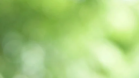 Green nature background. Stock Footage 79500614