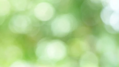 Green nature background. Stock Footage 79501384