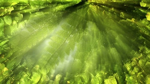 Green Nature Background Stock Footage 102430818