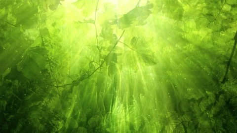 Green Nature Background Видео 102436257