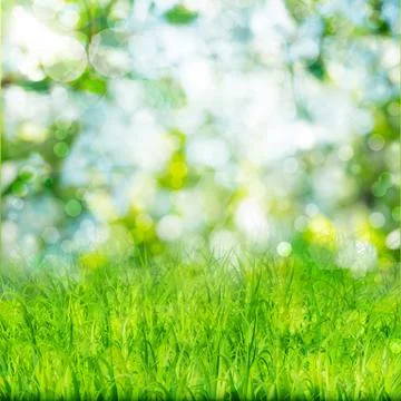 Green nature background with grass Stock Illustration