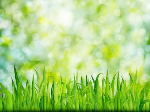 Green nature background with grass Illustrazione stock