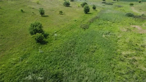 Green nature background. Green earth texture. Panoramic footage. Stock Footage 202908994