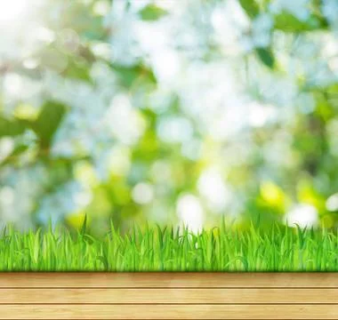 Green nature background Illustrazione stock