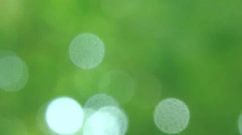 Green nature background with motion of defocus sunlight. (HD footage no sound) Video stock 62477338
