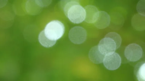 Green nature background with motion of defocus sunlight. (HD footage no sound) Stock Footage 62479838