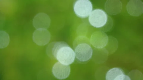 Green nature background with motion of defocus sunlight. (HD footage no sound) Stock Footage 62479899