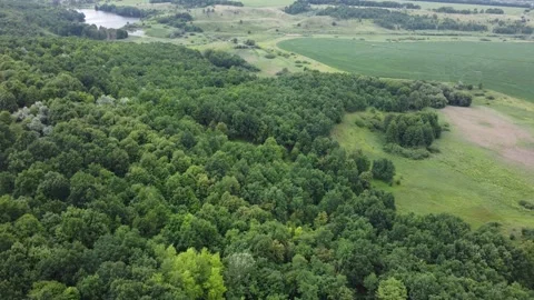 Green nature background. Panoramic landscape. Stock Footage 201025861