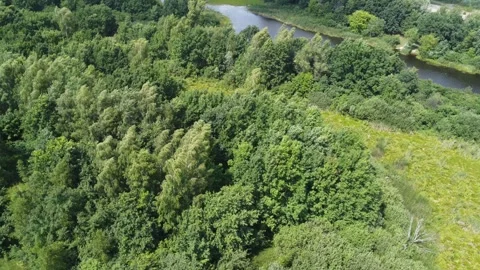 Green nature background. Panoramic landscape. Fly footage. Stock Footage 246485435