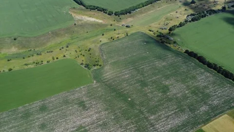 Green nature background. Panoramic landscape. Fly footage. Stock Footage 246485950