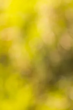 Green Nature Background Stock Photos