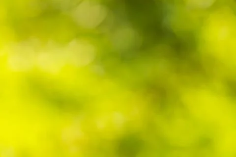 Green Nature Background Stock Photos