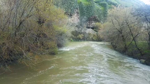 Green nature background, spring nature Video stock 338403980