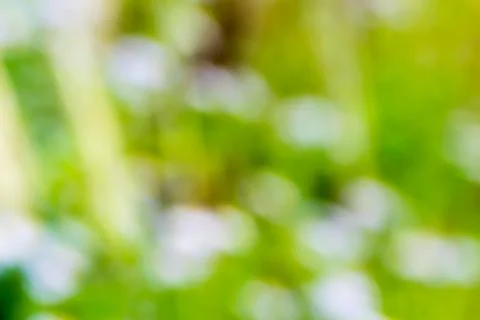 Green nature blurred background Stock-Fotos