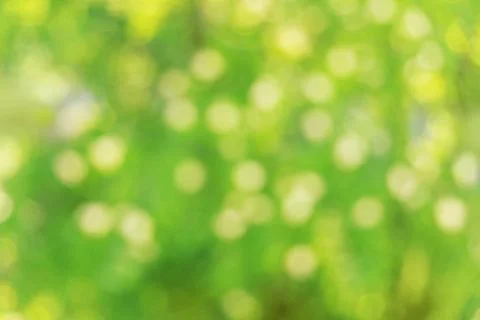 Green nature blurred background Stock Photos