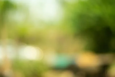 Green nature cute background. Stock Photos