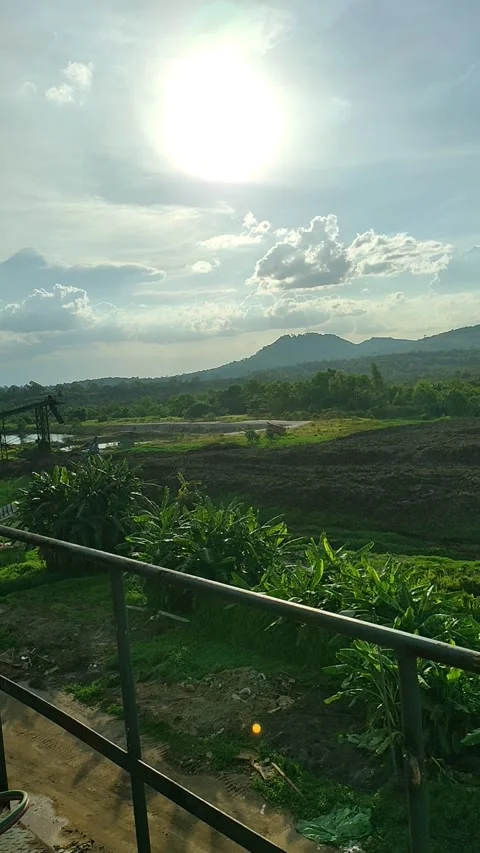 Green nature Video stock 167396425