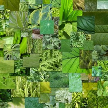 Green Nature Stock Illustration