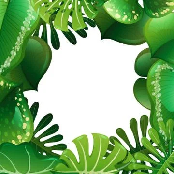 A green nature leaf border Stock Illustration