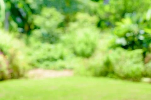 Green nature light background, abstract green bokeh. Stock Photos