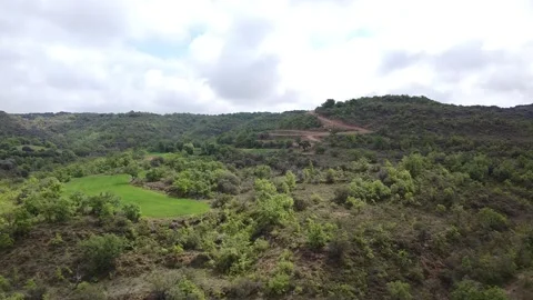 Green nature in Spain Stock Footage 145910453