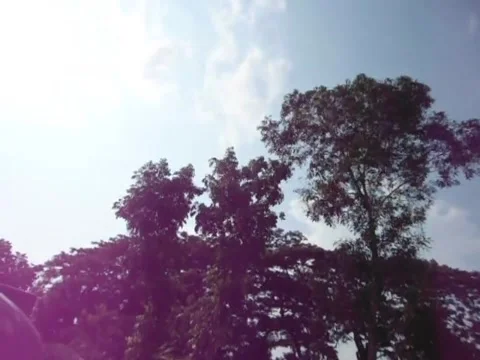Green Nature With Sun Ray Stock Footage 155042246