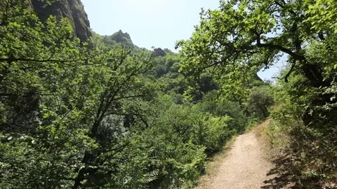 Green nature surrounded by mountains 2 Stock Footage 333134613