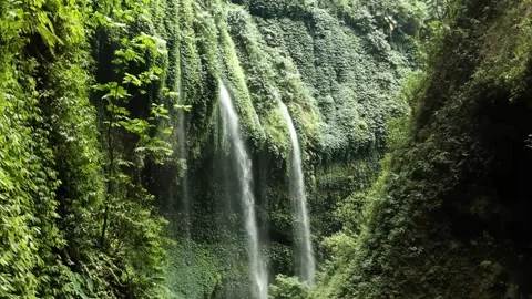 Green nature waterfall in the forest Stock Footage 254761730