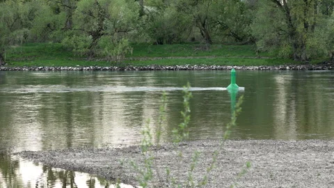 Green navigation buoy in Danube Video stock 333073186
