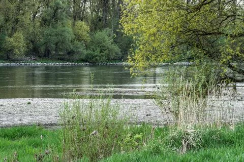 Green navigation buoy in Danube Stock Photos