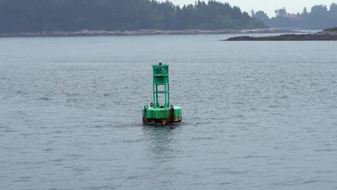 Green navigation buoy drifting on calm coastal waters with distant shoreline Stock Footage 332813372