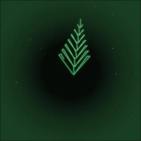 Green Neon Abstract Lines Forming a Stylized Leaf or Arrow Shape on Dark Ba.. Stock Footage 346282383