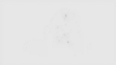 Green Neon Butterfly Stock Footage 320723938
