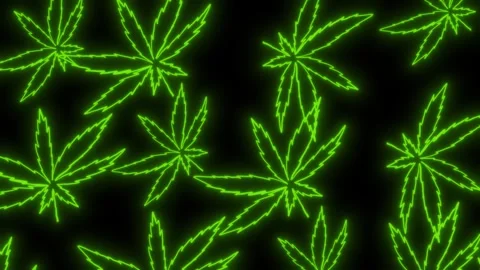 Green neon cannabis spins in a loop on a black screen. Stock video of narcotic Stock Footage 257090855