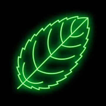 Green neon glow displaying an outlined leaf on black Stock Illustration
